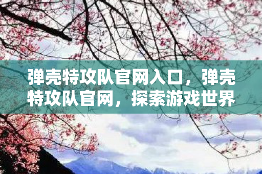 弹壳特攻队官网入口，弹壳特攻队官网，探索游戏世界的门户