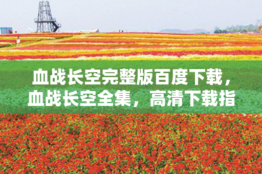 血战长空完整版百度下载，血战长空全集，高清下载指南