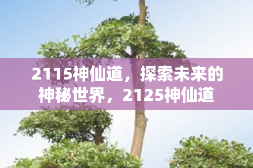 2115神仙道，探索未来的神秘世界，2125神仙道