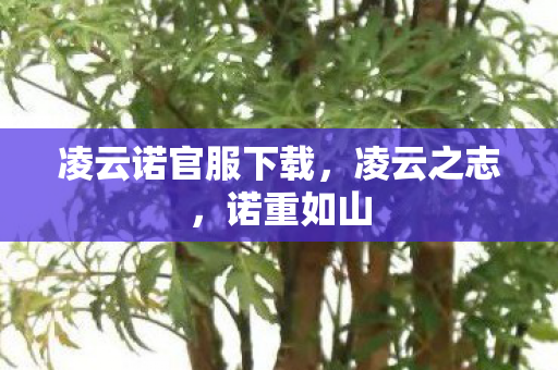 凌云诺官服下载，凌云之志，诺重如山