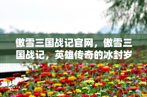 傲雪三国战记官网，傲雪三国战记，英雄传奇的冰封岁月