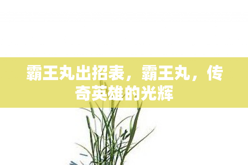 霸王丸出招表，霸王丸，传奇英雄的光辉