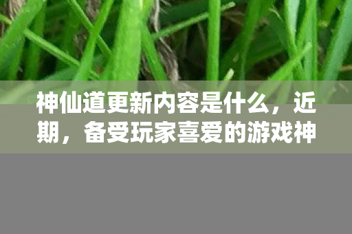 神仙道更新内容是什么，近期，备受玩家喜爱的游戏神仙道迎来了全新的更新。本次更新带来了诸多令人期待的新内容，为玩家带来了更为丰富的游戏体验。接下来，我们将为您详细解析本次神仙道的更新内容
