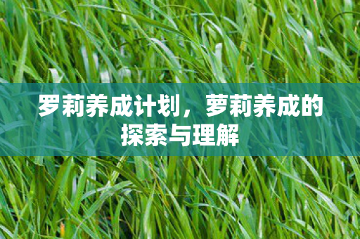 罗莉养成计划，萝莉养成的探索与理解