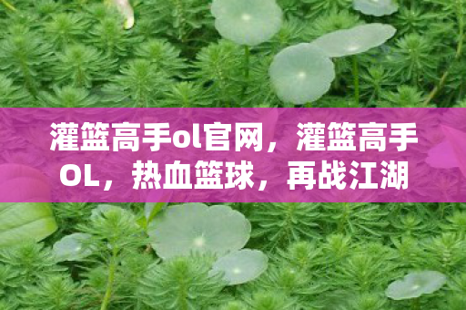 灌篮高手ol官网，灌篮高手OL，热血篮球，再战江湖！