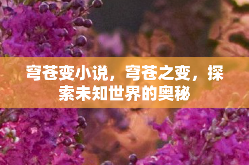 穹苍变小说，穹苍之变，探索未知世界的奥秘