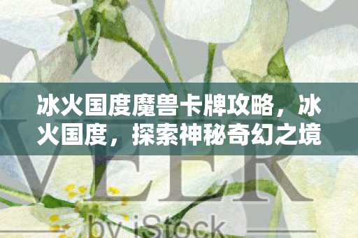 冰火国度魔兽卡牌攻略，冰火国度，探索神秘奇幻之境