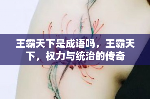 王霸天下是成语吗，王霸天下，权力与统治的传奇