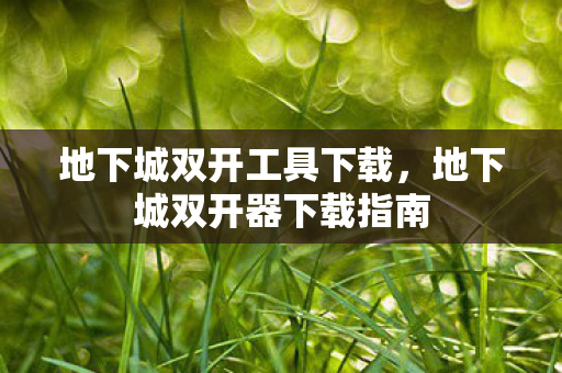 地下城双开工具下载，地下城双开器下载指南