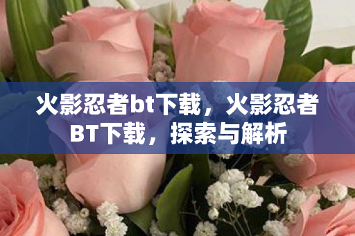 火影忍者bt下载，火影忍者BT下载，探索与解析