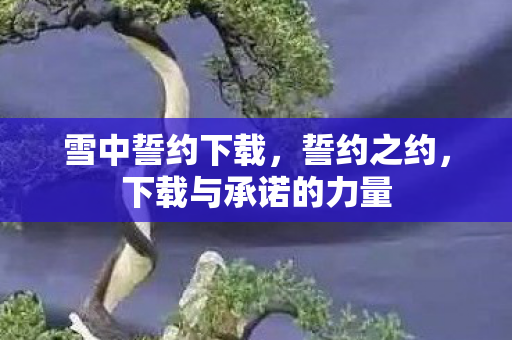 雪中誓约下载，誓约之约，下载与承诺的力量