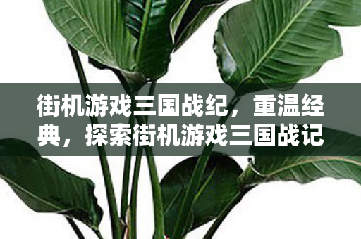 街机游戏三国战纪，重温经典，探索街机游戏三国战记的魅力