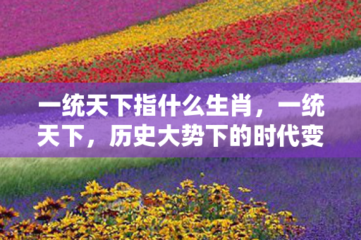 一统天下指什么生肖，一统天下，历史大势下的时代变迁