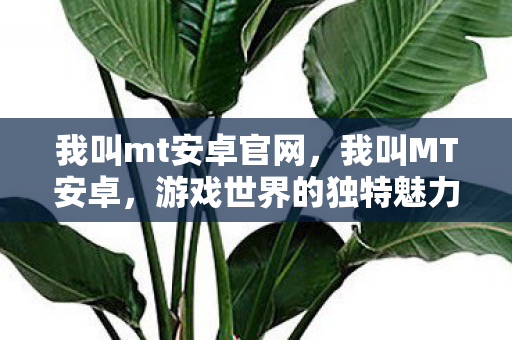 我叫mt安卓官网，我叫MT安卓，游戏世界的独特魅力