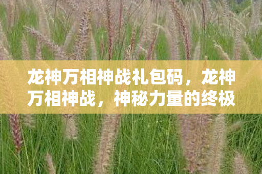 龙神万相神战礼包码，龙神万相神战，神秘力量的终极对决