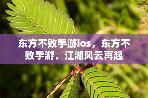 东方不败手游ios，东方不败手游，江湖风云再起