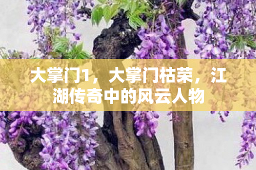 大掌门1，大掌门枯荣，江湖传奇中的风云人物