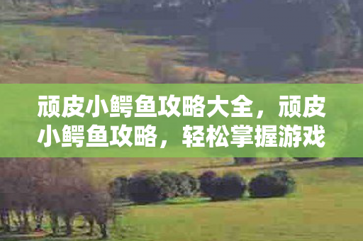 顽皮小鳄鱼攻略大全，顽皮小鳄鱼攻略，轻松掌握游戏技巧