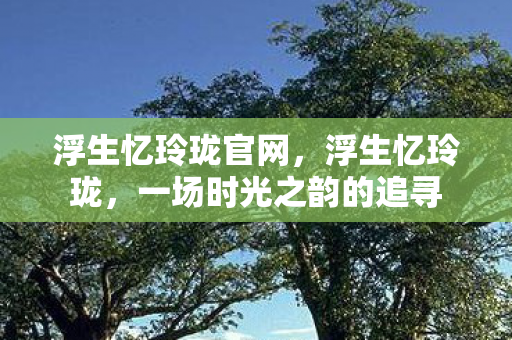 浮生忆玲珑官网，浮生忆玲珑，一场时光之韵的追寻