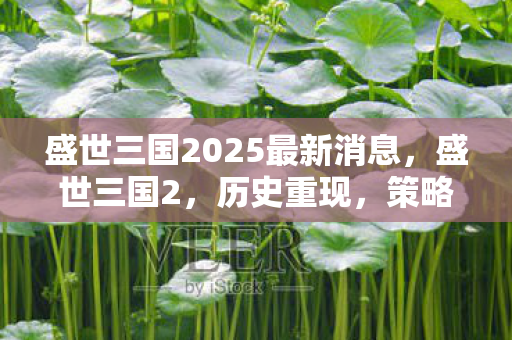 盛世三国2025最新消息，盛世三国2，历史重现，策略争霸的时代