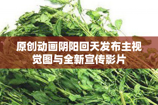 原创动画阴阳回天发布主视觉图与全新宣传影片