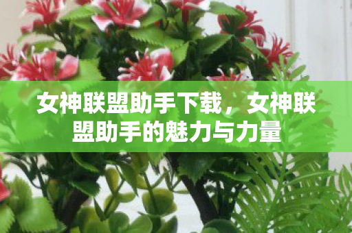 女神联盟助手下载，女神联盟助手的魅力与力量