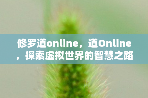 修罗道online，道Online，探索虚拟世界的智慧之路