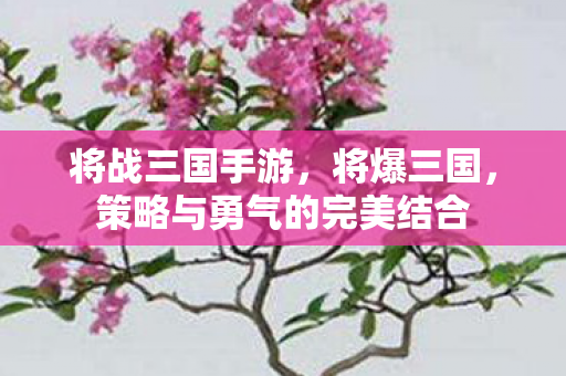 将战三国手游，将爆三国，策略与勇气的完美结合