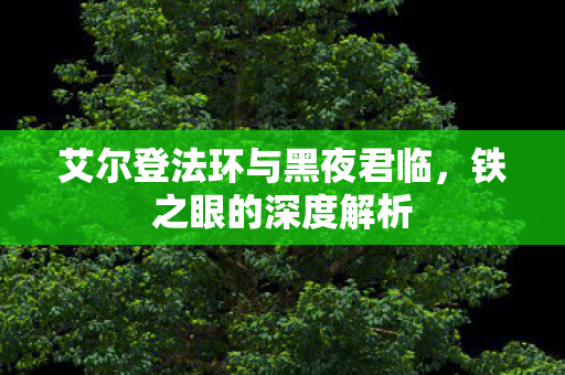 艾尔登法环与黑夜君临，铁之眼的深度解析