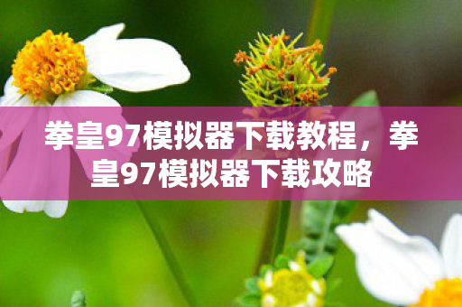 拳皇97模拟器下载教程，拳皇97模拟器下载攻略