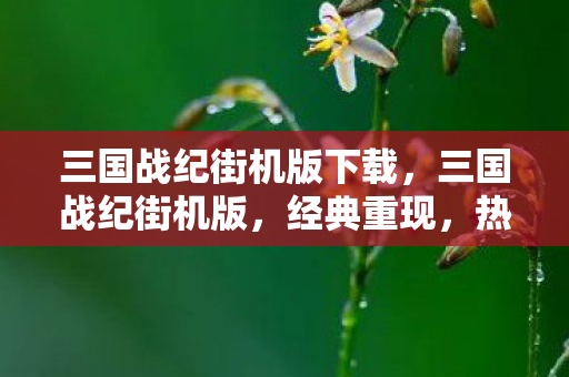 三国战纪街机版下载，三国战纪街机版，经典重现，热血情怀