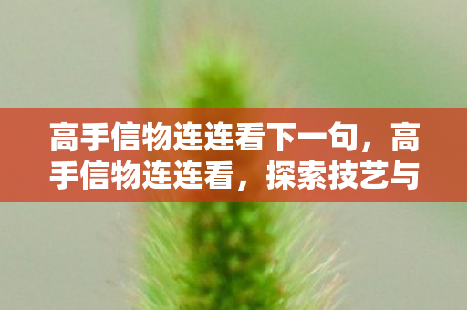 高手信物连连看下一句，高手信物连连看，探索技艺与信物的交织之美
