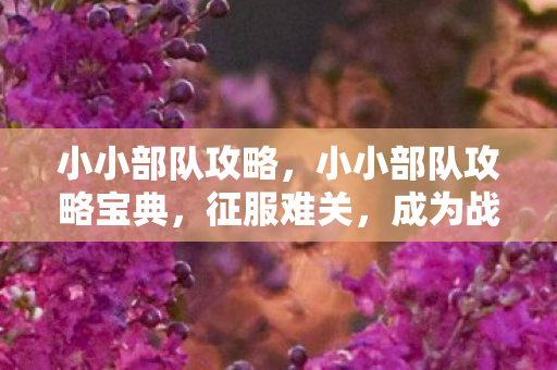 小小部队攻略，小小部队攻略宝典，征服难关，成为战场英雄！