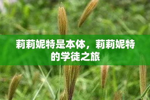 莉莉妮特是本体，莉莉妮特的学徒之旅