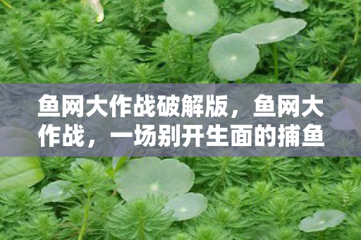 鱼网大作战破解版，鱼网大作战，一场别开生面的捕鱼挑战