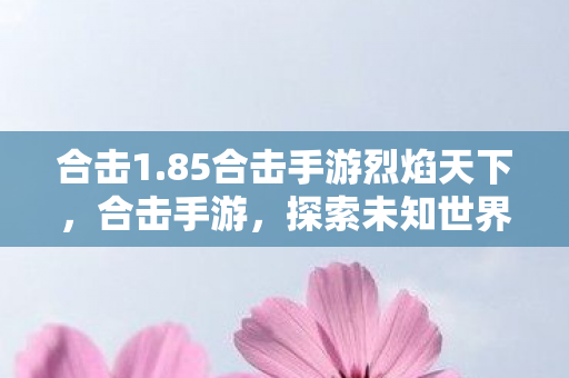 合击1.85合击手游烈焰天下，合击手游，探索未知世界的合击之旅