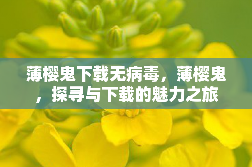 薄樱鬼下载无病毒，薄樱鬼，探寻与下载的魅力之旅
