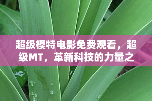 超级模特电影免费观看，超级MT，革新科技的力量之源