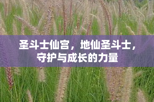 圣斗士仙宫，地仙圣斗士，守护与成长的力量