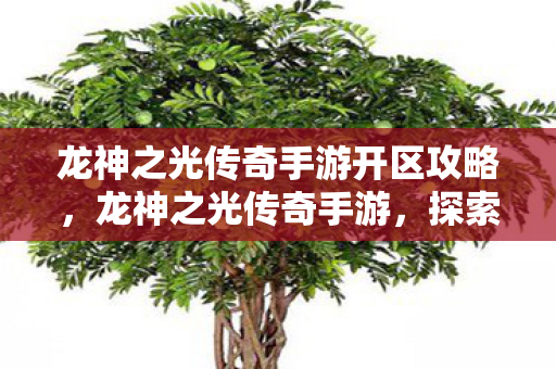 龙神之光传奇手游开区攻略，龙神之光传奇手游，探索神秘世界的无尽魅力