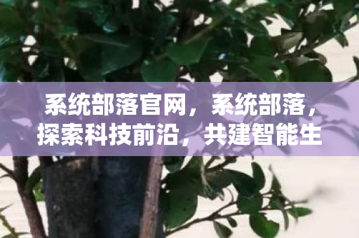 系统部落官网，系统部落，探索科技前沿，共建智能生态