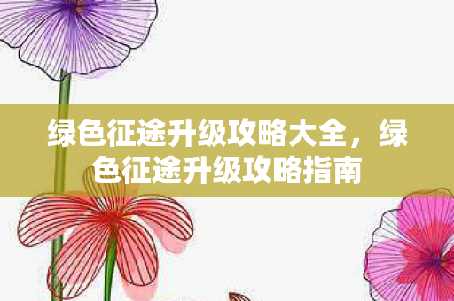 绿色征途升级攻略大全，绿色征途升级攻略指南