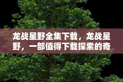 龙战星野全集下载，龙战星野，一部值得下载探索的奇幻巨作