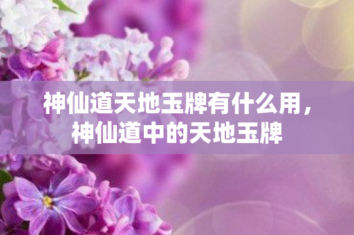 神仙道天地玉牌有什么用，神仙道中的天地玉牌