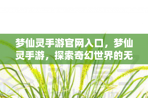 梦仙灵手游官网入口，梦仙灵手游，探索奇幻世界的无尽魅力