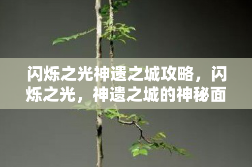 闪烁之光神遗之城攻略，闪烁之光，神遗之城的神秘面纱