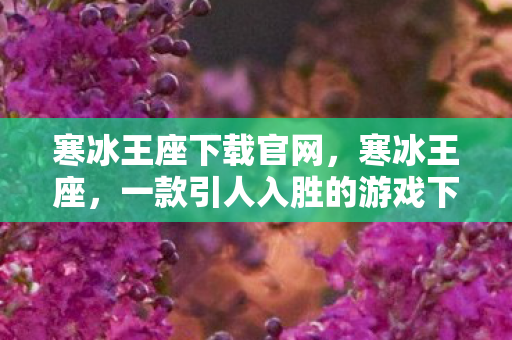 寒冰王座下载官网，寒冰王座，一款引人入胜的游戏下载指南