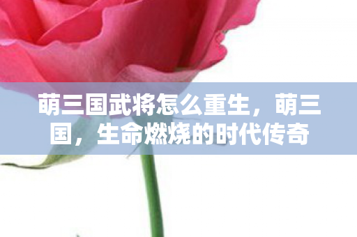 萌三国武将怎么重生，萌三国，生命燃烧的时代传奇