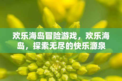 欢乐海岛冒险游戏，欢乐海岛，探索无尽的快乐源泉