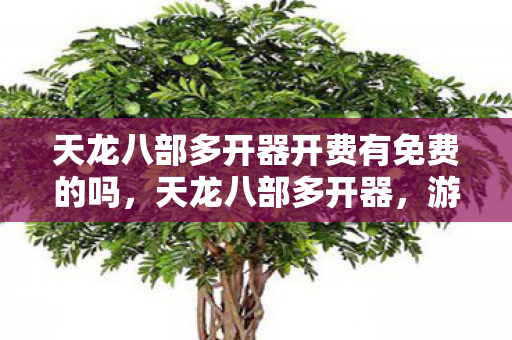天龙八部多开器开费有免费的吗，天龙八部多开器，游戏玩家的神器利器